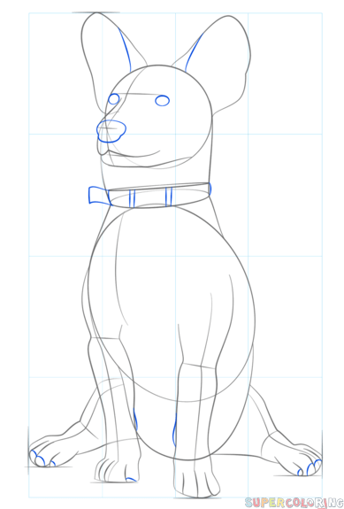jak narysować psa corgi krok 6