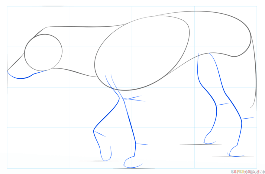 jak narysować psa dingo krok 3