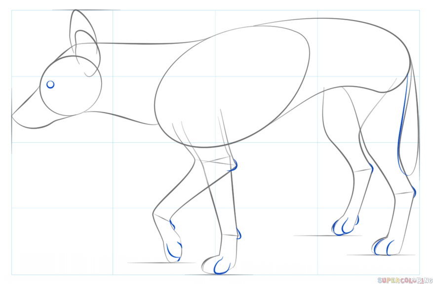 jak narysować psa dingo krok 5