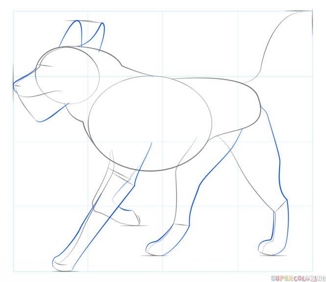 jak narysować psa husky krok 4