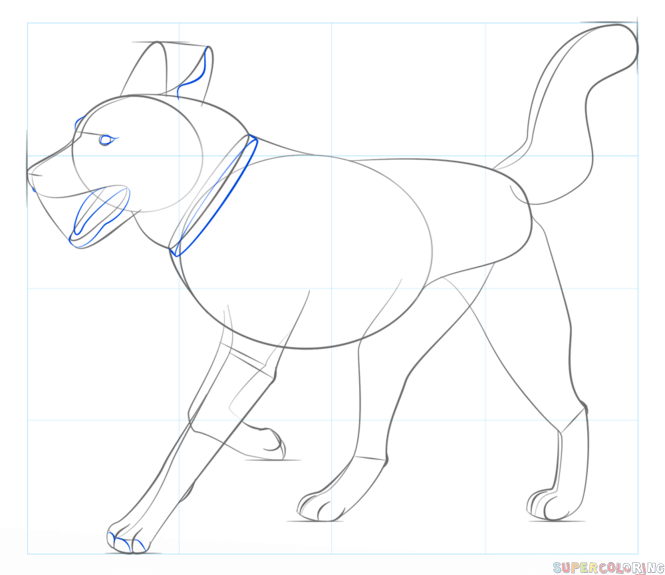 jak narysować psa husky krok 6