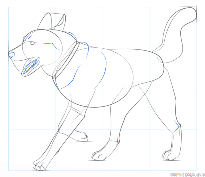 jak narysować psa husky krok 7