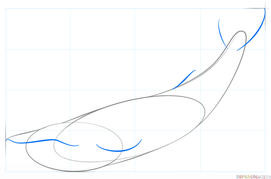 jak narysować płetwala błękitnego krok 3