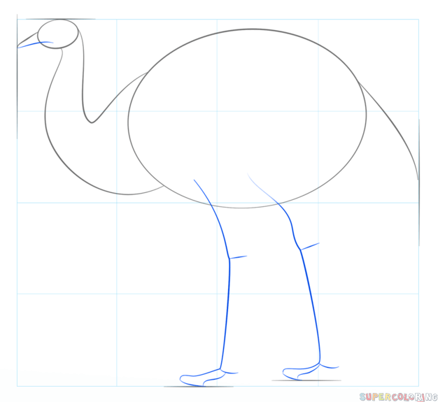 jak narysować ptaka emu krok 3