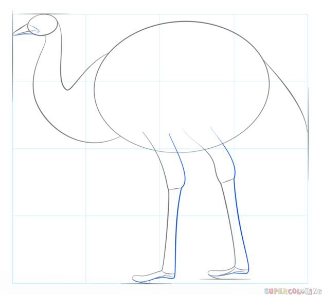 jak narysować ptaka emu krok 4