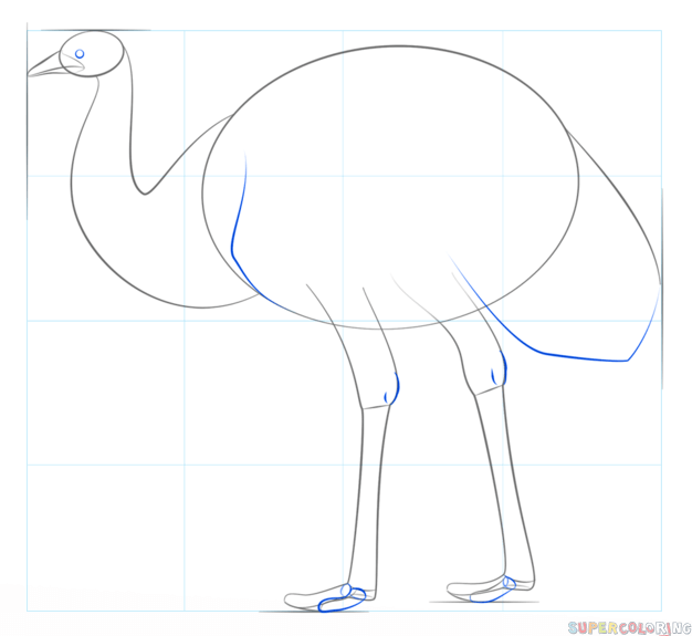 jak narysować ptaka emu krok 5