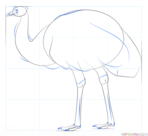 jak narysować ptaka emu krok 6