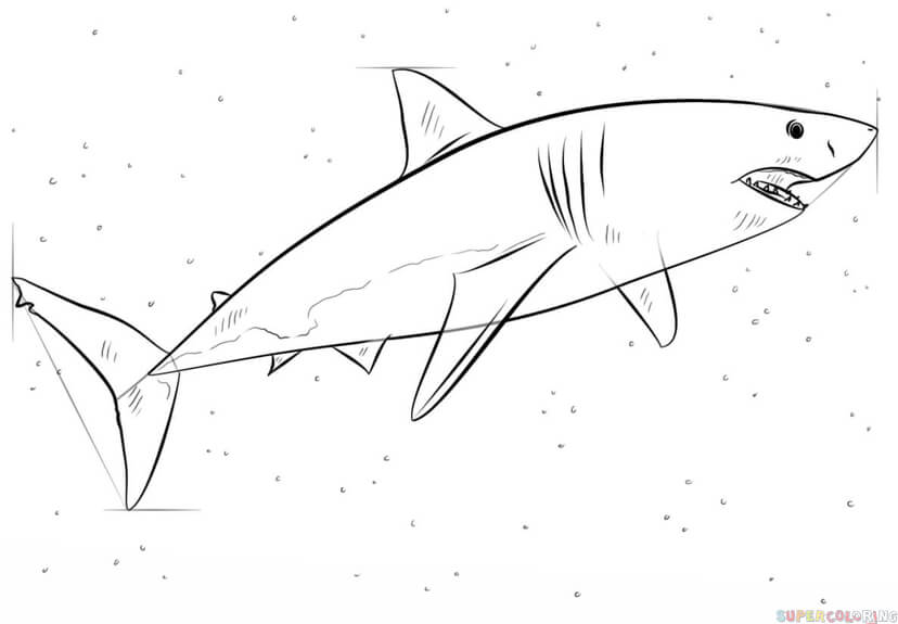 jak narysować rekina krok 6