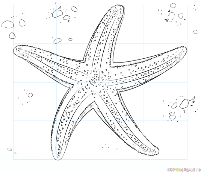 jak narysować rozgwiazdę