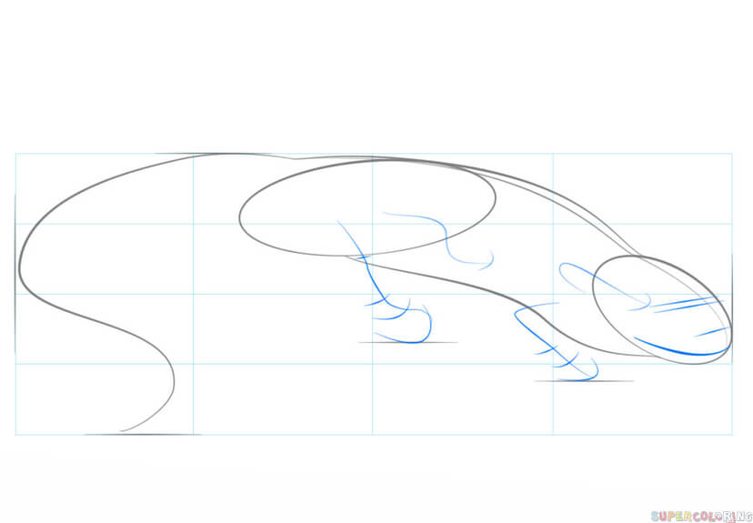 jak narysować salamandrę krok 3