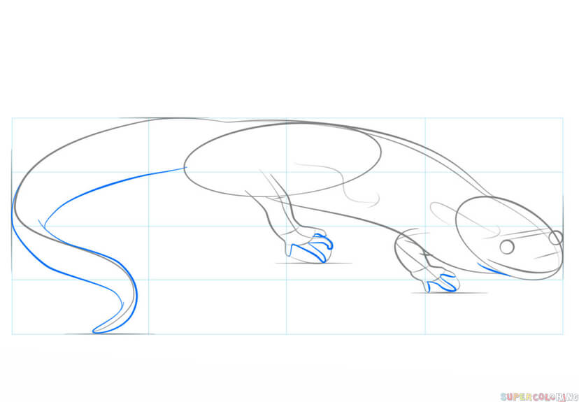 jak narysować salamandrę krok 5