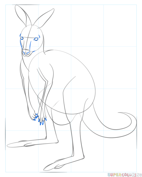 jak narysować ślicznego kangurka krok 7