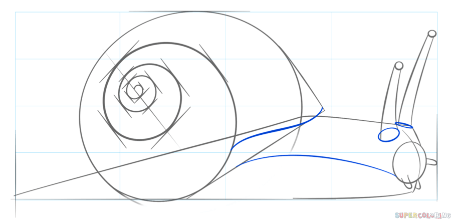 jak narysować ślimaka krok 6