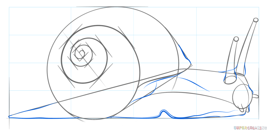 jak narysować ślimaka krok 7