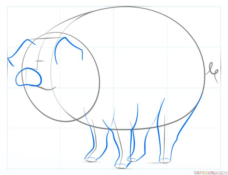 jak narysować świnkę z bajku krok 4
