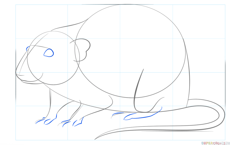 jak narysować szczura krok 6