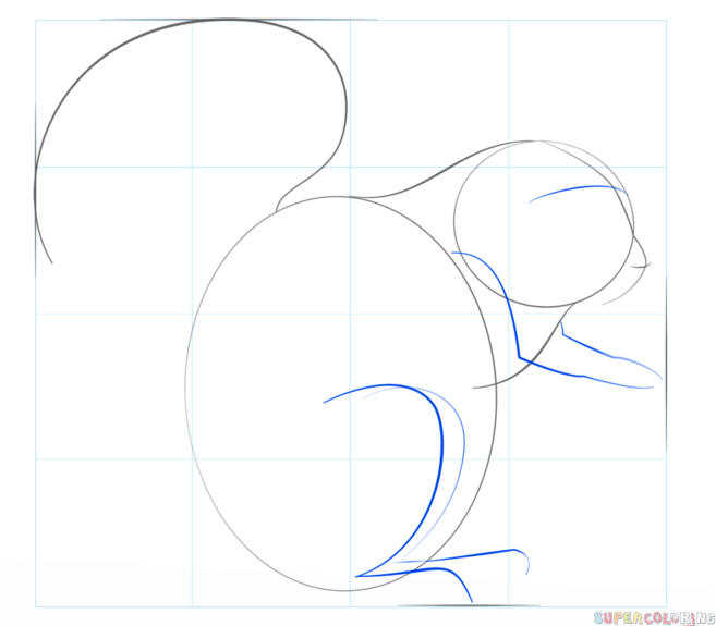 jak narysować wiewiórkę krok 3