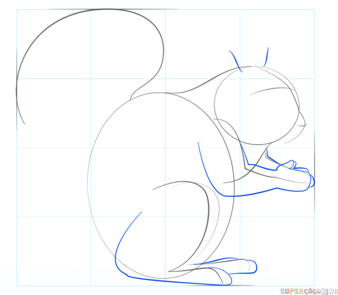 jak narysować wiewiórkę krok 4