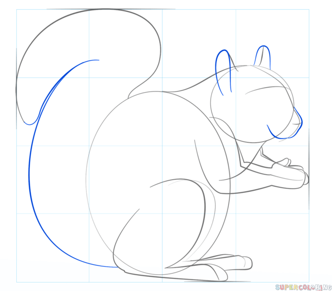 jak narysować wiewiórkę krok 5