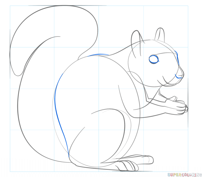 jak narysować wiewiórkę krok 7
