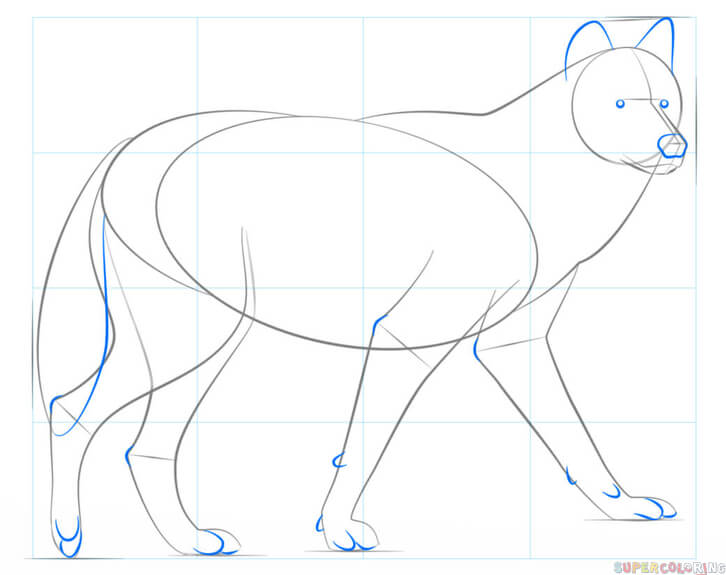 jak narysować wilka krok 5