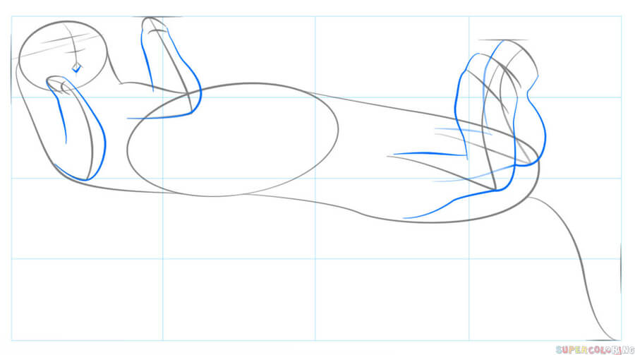 jak narysować wydrę krok 4