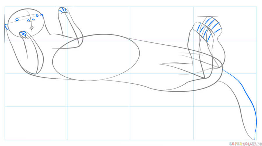 jak narysować wydrę krok 5
