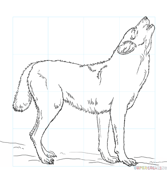 jak narysować wyjącego wilka