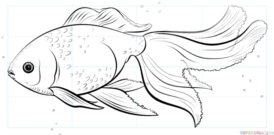 jak narysować złotą rybkę