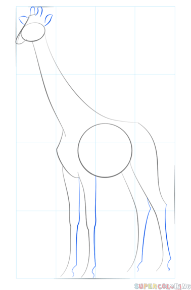 jak narysować żyrafę krok 5