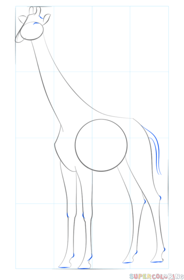 jak narysować żyrafę krok 6