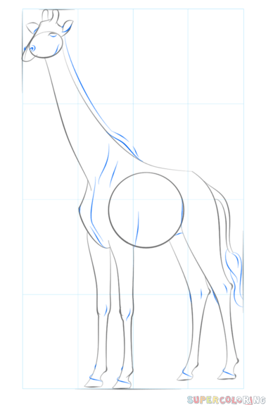 jak narysować żyrafę krok 7